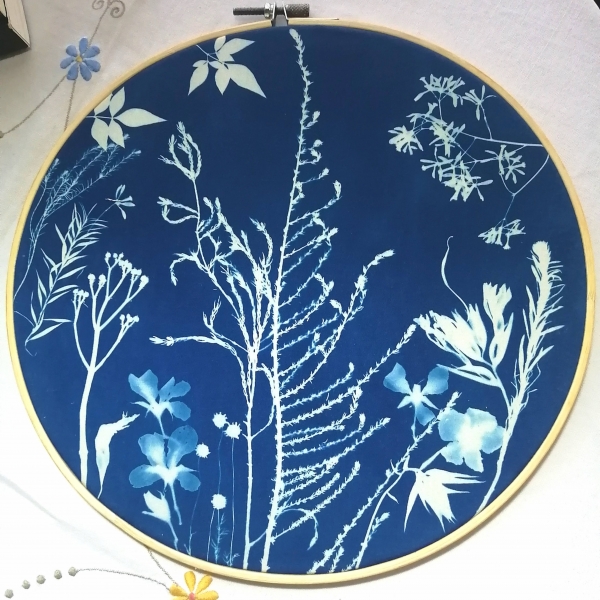 Fynbos Blues: Cyanotype Printing 2 (Ronelle van Zyl)